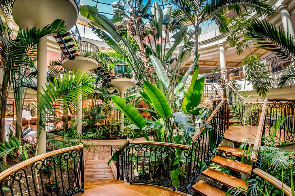 FUE_71442_Sheraton_Fuerteventura_Beach_Golf__Spa_1119_02