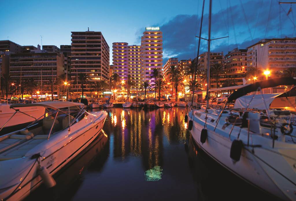 PMI_347_TRYP_BELLVER_0713_02