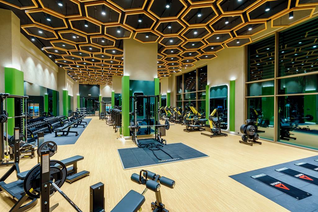 AYT_81482_Regnum_Carya_0822_01