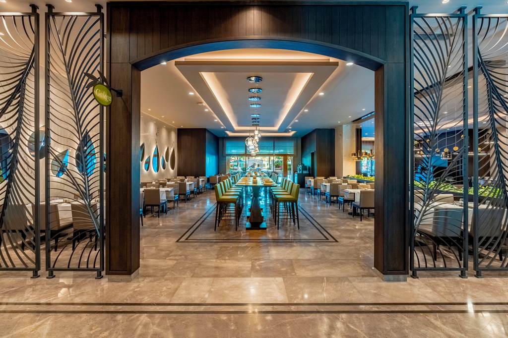 AYT_81482_Regnum_Carya_1121_41