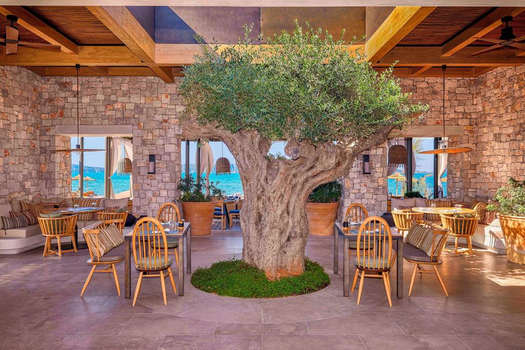 KLX_85207_W_Costa_Navarino_0323_26